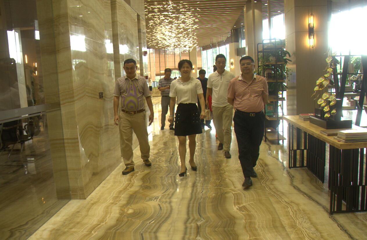 龍崗區(qū)產業(yè)投資服務集團到訪康利城